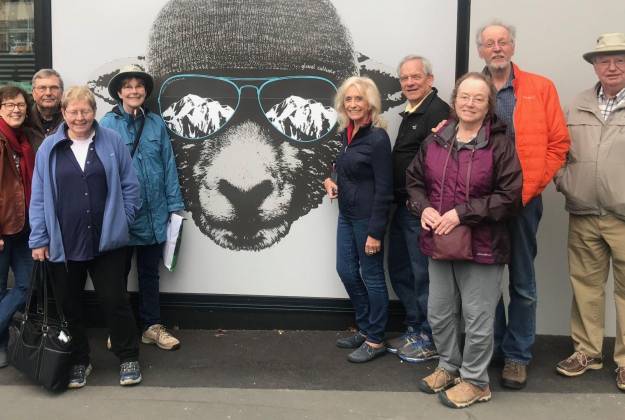 Graffiti Tours Auckland Walks